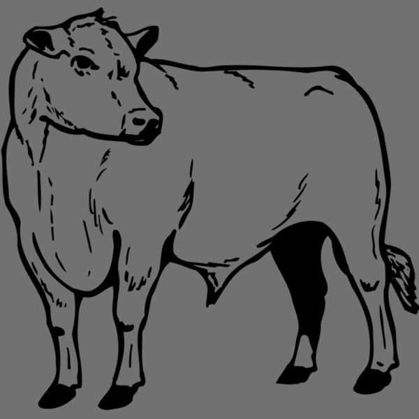 COW013 Thumbnail
