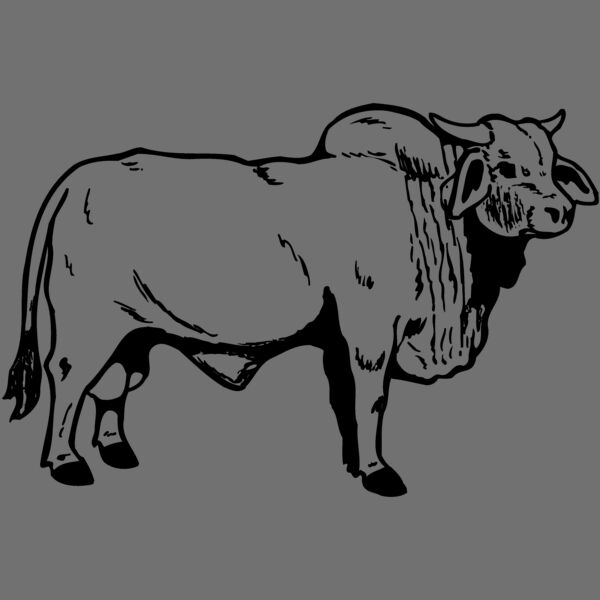 COW015 Thumbnail