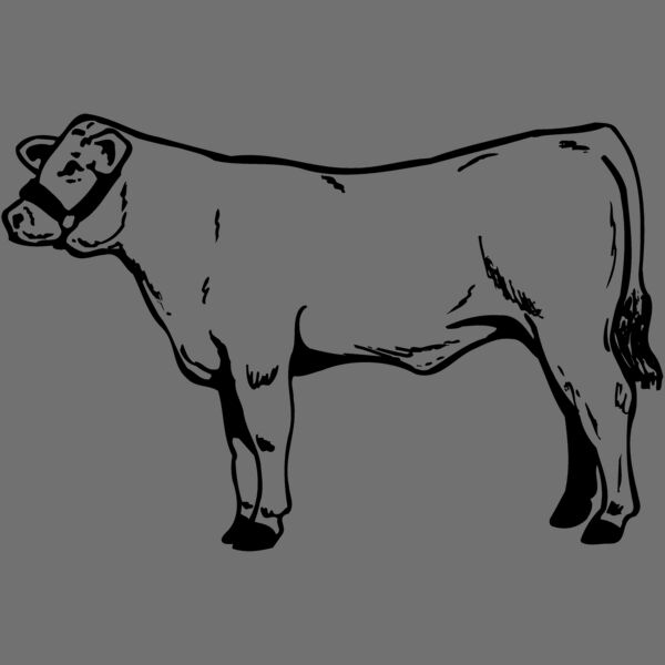 COW017 Thumbnail