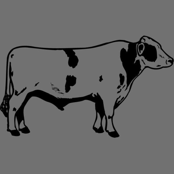COW020 Thumbnail