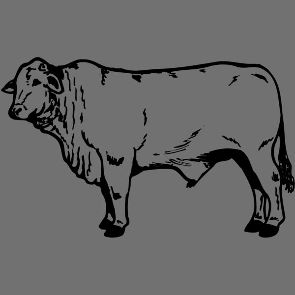 COW022 Thumbnail