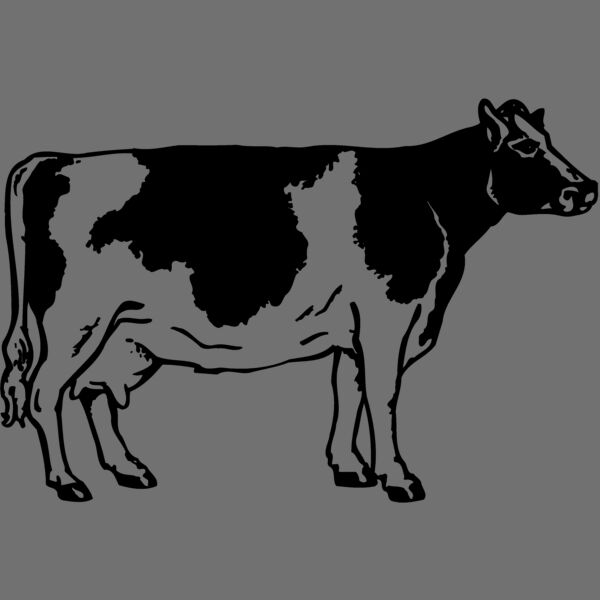 COW024 Thumbnail