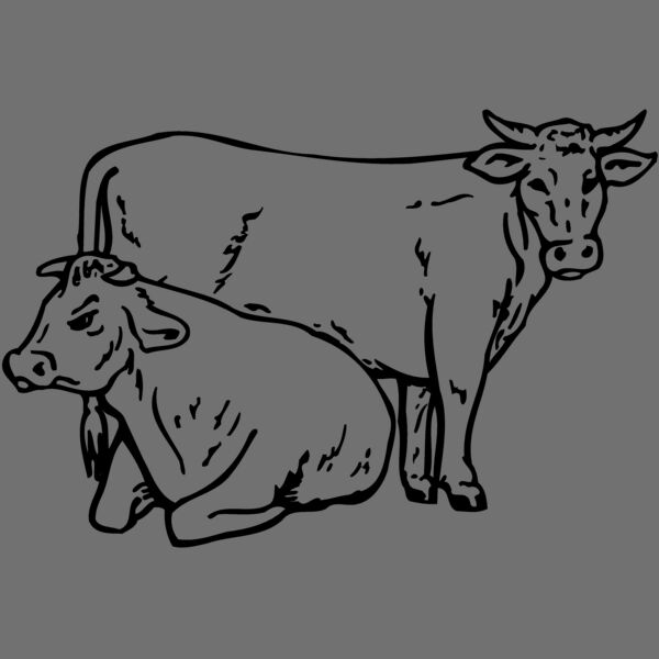 COW027 Thumbnail