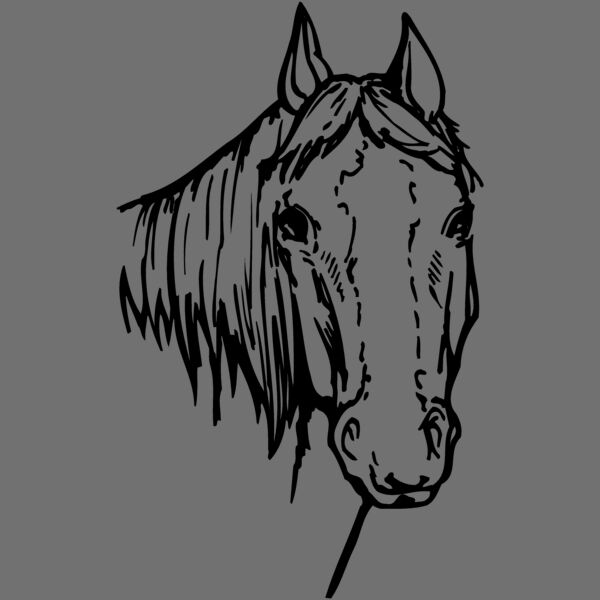 HORSE004 Thumbnail