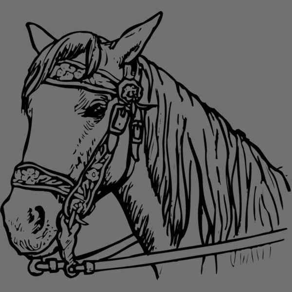 HORSE005 Thumbnail