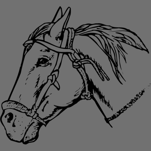 HORSE007 Thumbnail