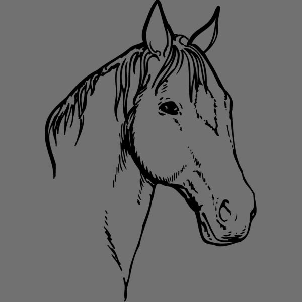 HORSE008 Thumbnail