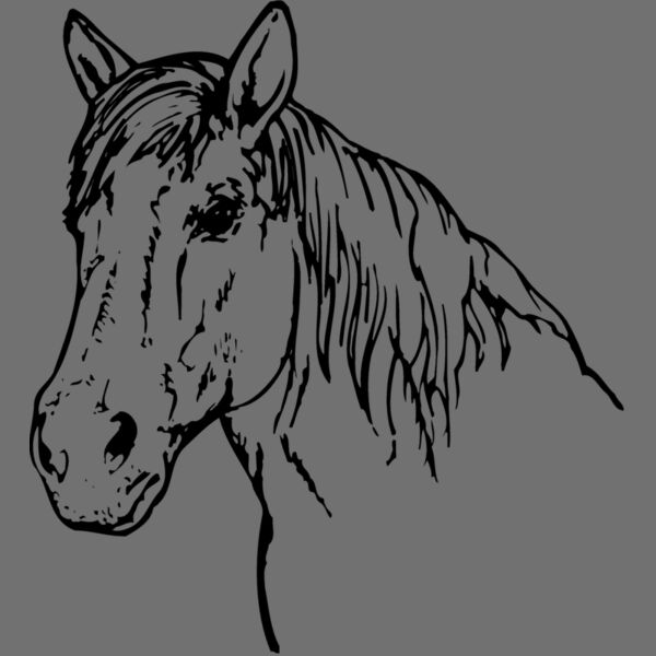 HORSE009 Thumbnail
