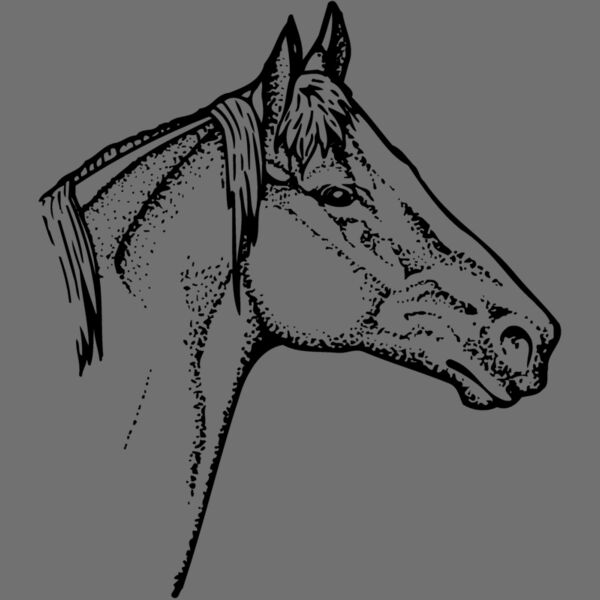 HORSE010 Thumbnail