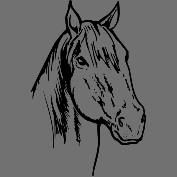 HORSE011 Thumbnail