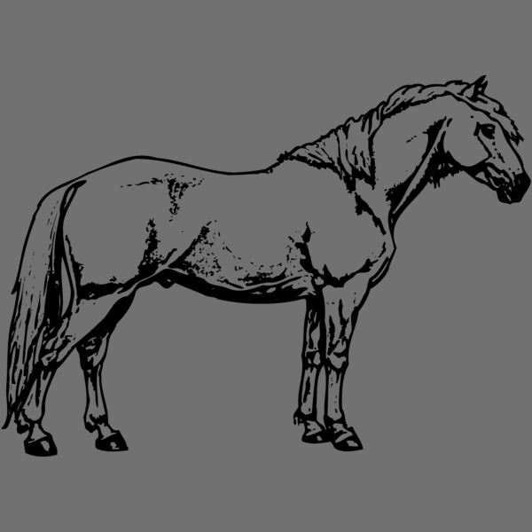 HORSE016 Thumbnail