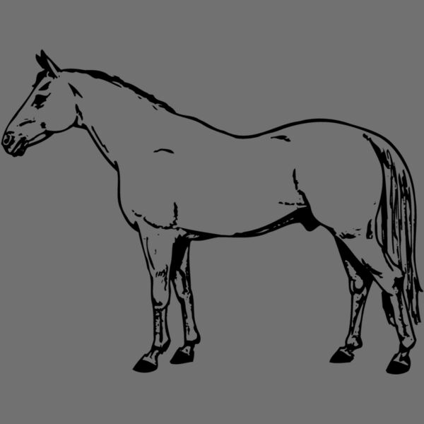 HORSE017 Thumbnail