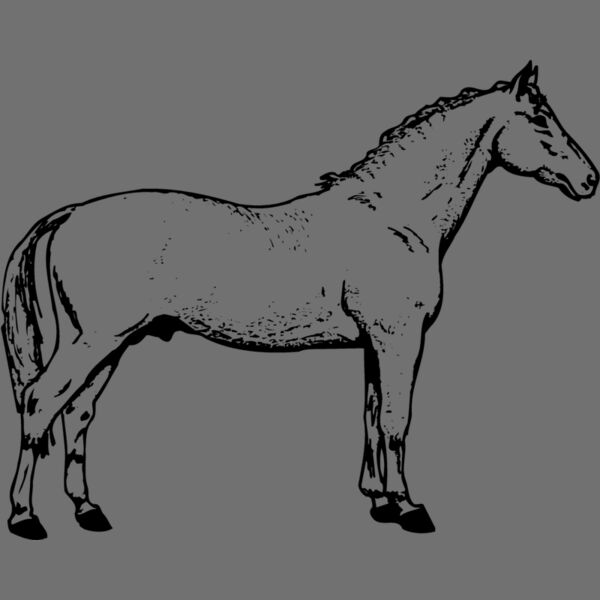 HORSE019 Thumbnail