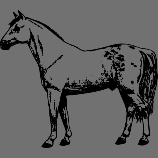 HORSE032 Thumbnail