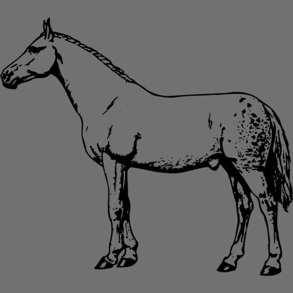 HORSE034 Thumbnail