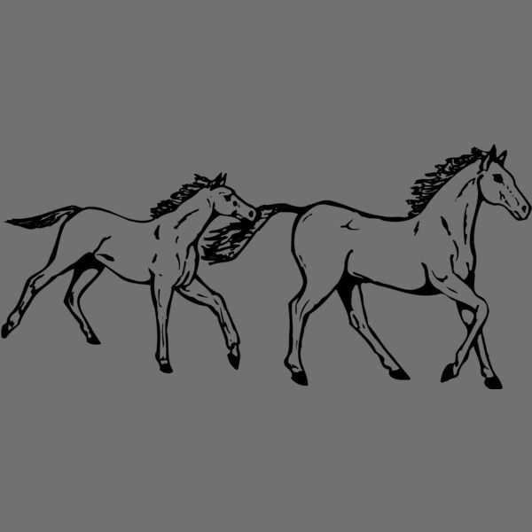 HORSE040 Thumbnail