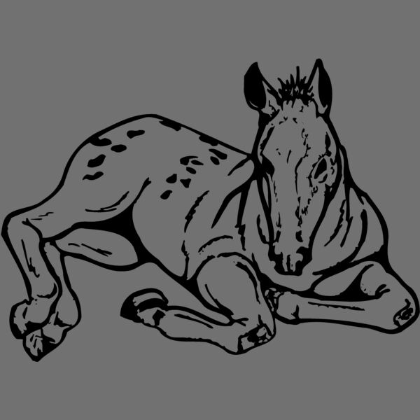 HORSE042 Thumbnail