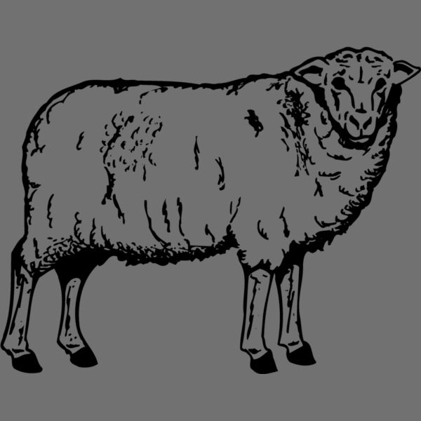 SHEEP002 Thumbnail