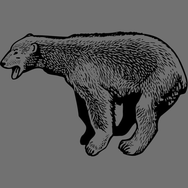 BEAR014_ Thumbnail