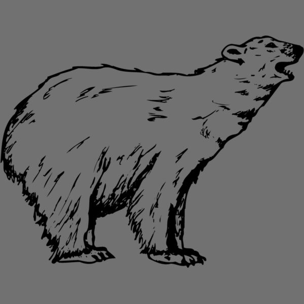 BEAR016 Thumbnail
