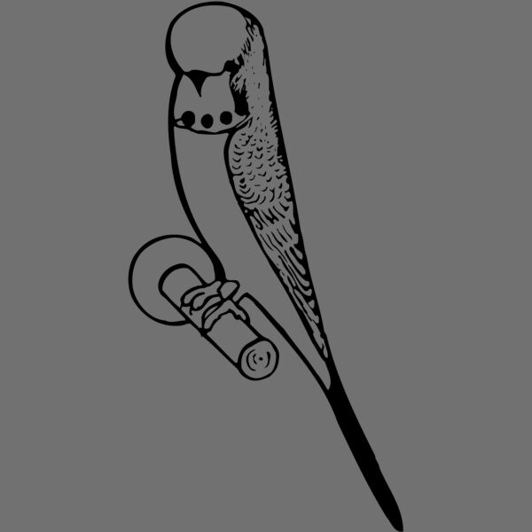 BIRD016 Thumbnail