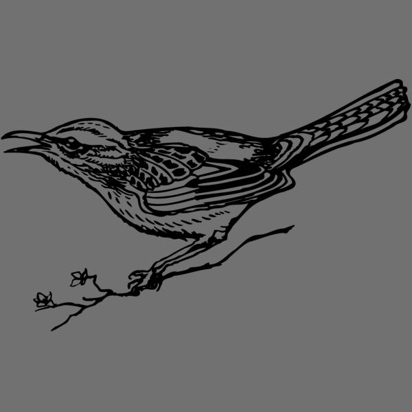 BIRD018 Thumbnail