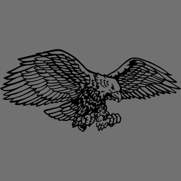 EAGLE003 Thumbnail