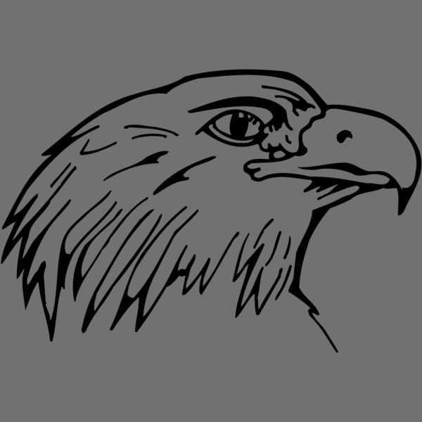EAGLE014 Thumbnail