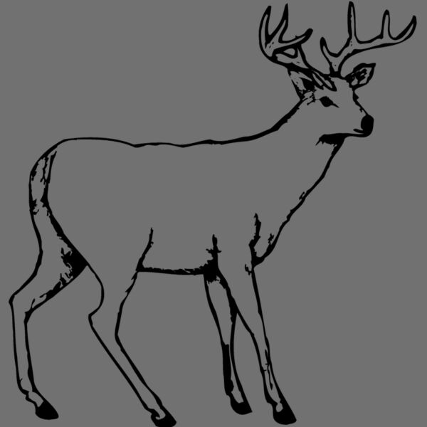DEER002 Thumbnail