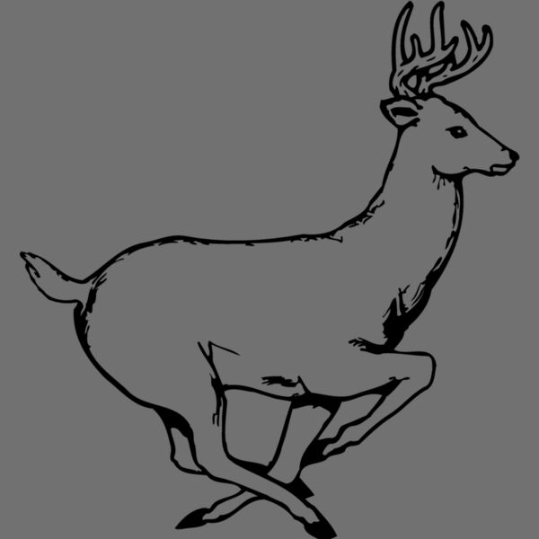 DEER003 Thumbnail