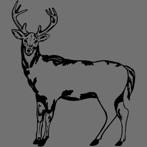DEER005 Thumbnail