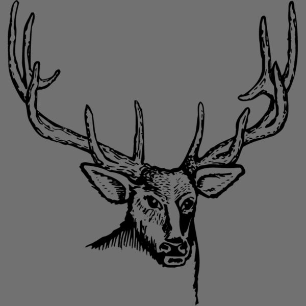 DEER007 Thumbnail