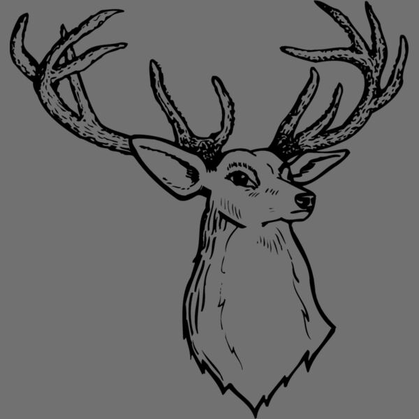 DEER008 Thumbnail