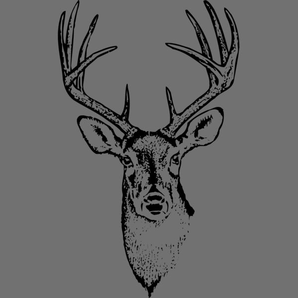 DEER010 Thumbnail
