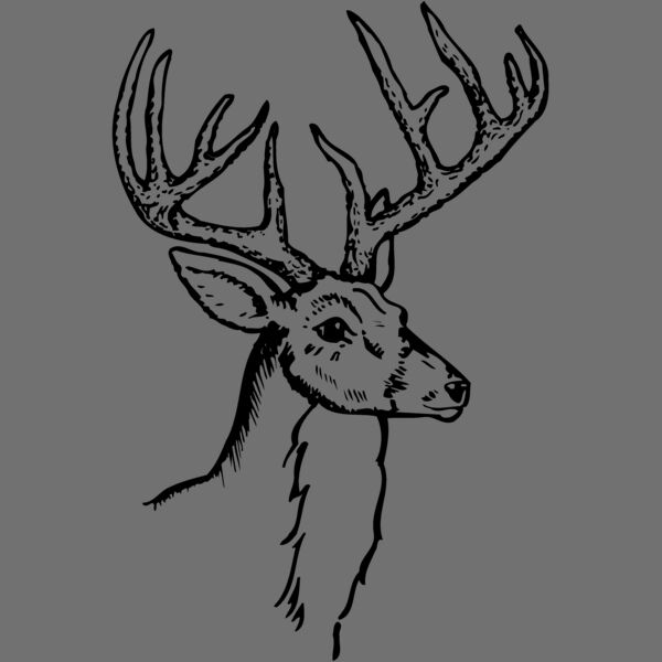 DEER017 Thumbnail
