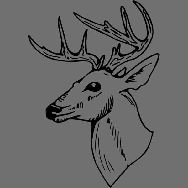 DEER018 Thumbnail