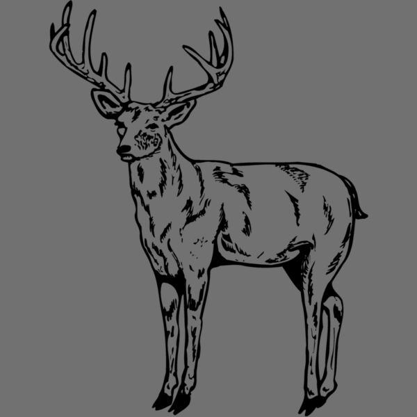 DEER021 Thumbnail