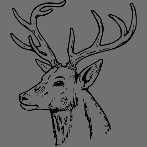 DEER022 Thumbnail
