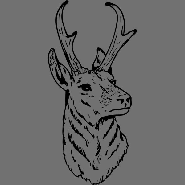 DEER023 Thumbnail