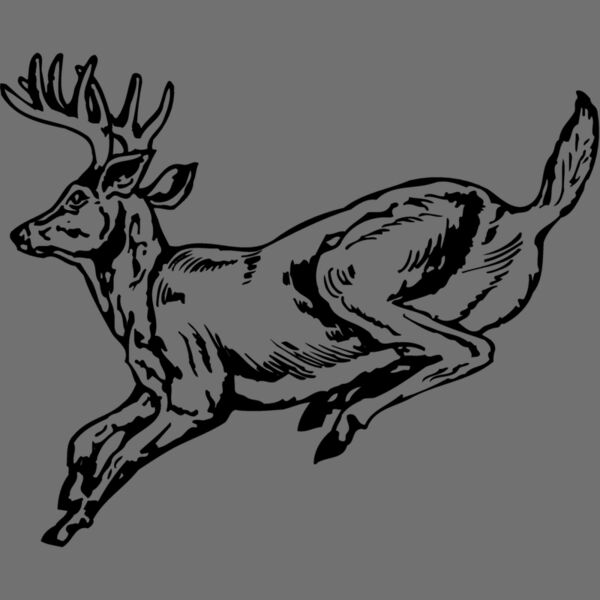 DEER027 Thumbnail
