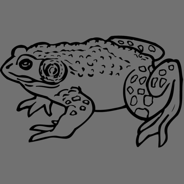 FROG02 Thumbnail