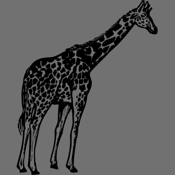 GIRAFF02 Thumbnail