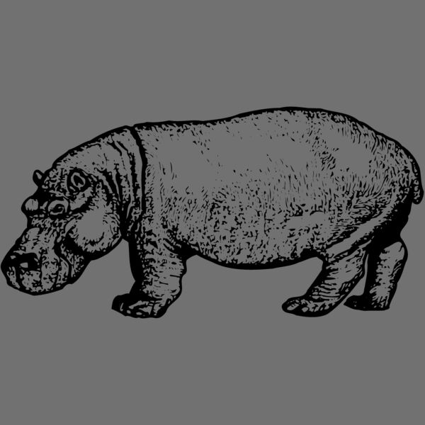 HIPPO002 Thumbnail