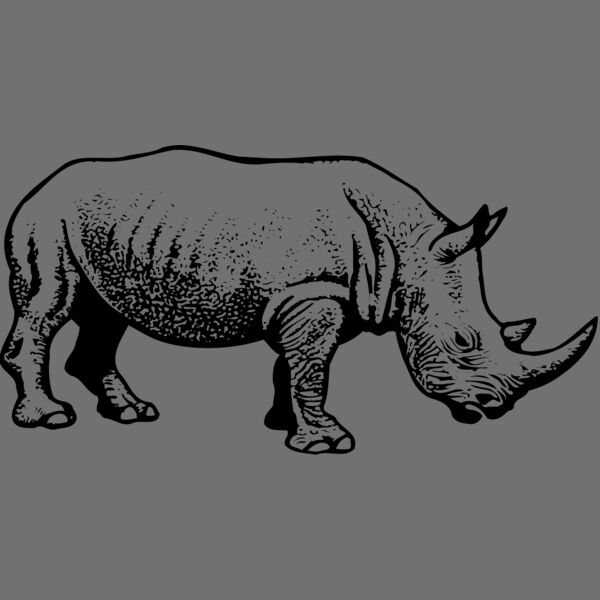RHINO001 Thumbnail