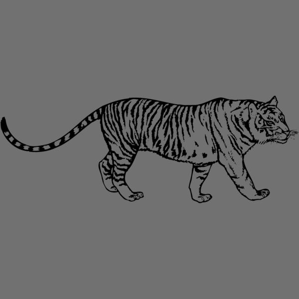TIGER003 Thumbnail