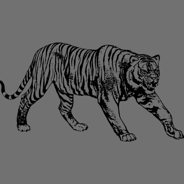 TIGER005 Thumbnail