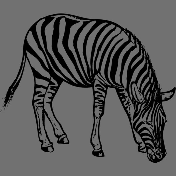 ZEBRA001 Thumbnail