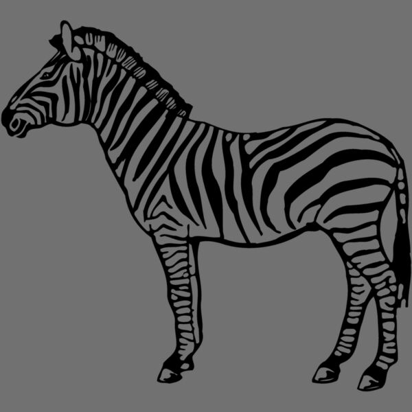 ZEBRA004 Thumbnail