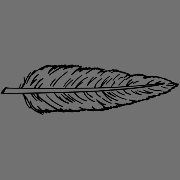 FEATHER Thumbnail