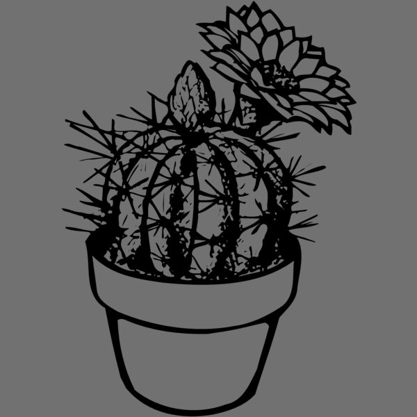 CACTUS01 Thumbnail